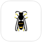 Asian Hornet Watch app logo