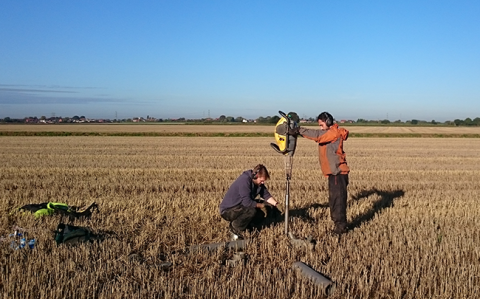 1m deep sampling to assess soil carbon stocks in bioenergy crops