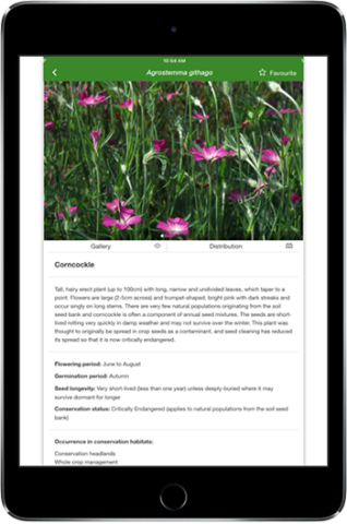 Splash screen of Rare Arable Flowers app