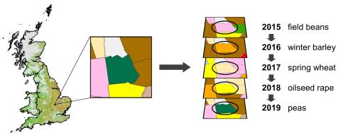 Graphic showing Crop maps in each year stacked to give crop sequences for a field in Great Britain