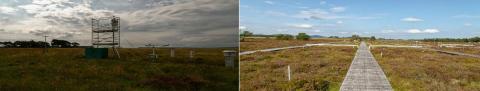 Whim Bog and Auchencorth Moss field sites