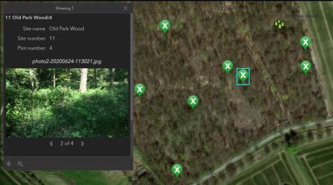 Survey progress and woodland photographs on the digital dashboard