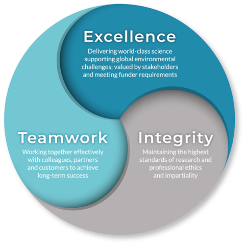 Excellence, Integrity, Teamwork diagram