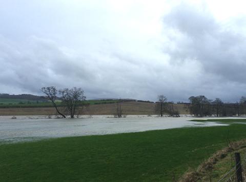 Floodplain inundation on river Eamont, tributary of river Eden
