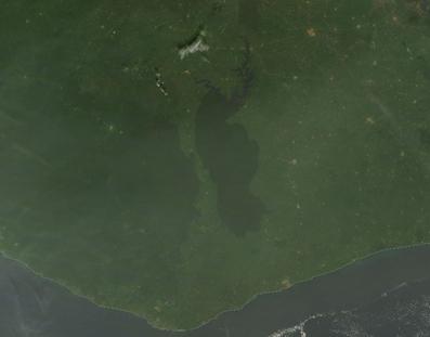 Forested region of Tai National Park, image NASA Worldview