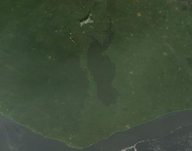 Forested region of Tai National Park, image NASA Worldview Forested region of Tai National Park, image NASA Worldview
