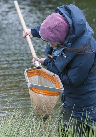 Surveyor checking finds in a freshwater sampling net