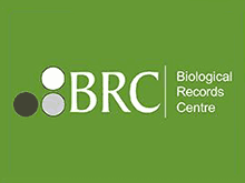 BRC logo BRC logo