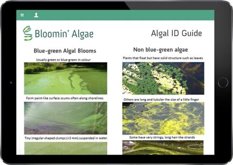 Bloomin' Algae app on iPad