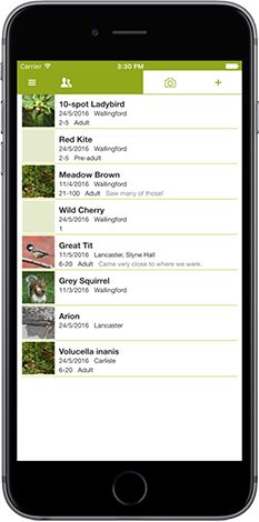 iRecord app screenshot showing list of species
