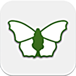 iRecord Butterflies app logo