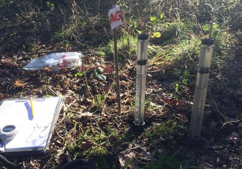 Scientific equipment on a woodland floor