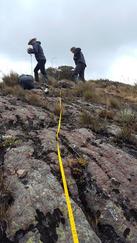 Measuring tape in action Two people trailing a tape measure