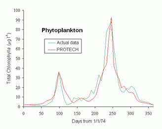 PROTECH model graph