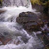 Stream Stream
