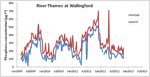 Phosphorus concentrations in the river Thames at Wallingford