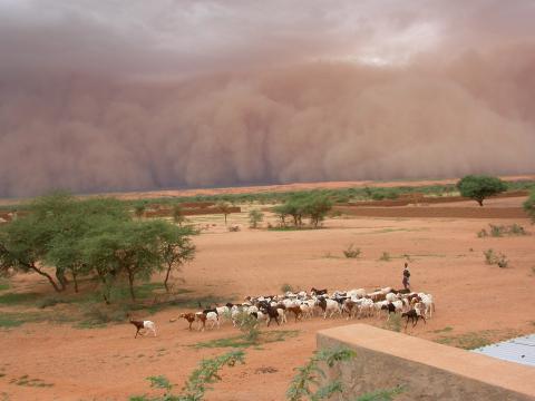 A storm in the Sahel Picture: Françoise Guichard / Laurent Kergoat / CNRS Photo Library