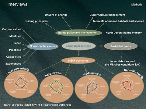 Flowchart showing four different future directions for marine managment