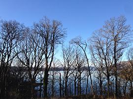 Loch Lomond and trees photo: Pauline Lang Loch Lomond and trees