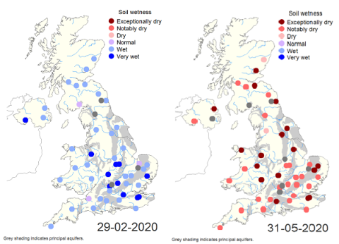 soil moisture comparison Feb-May 2020