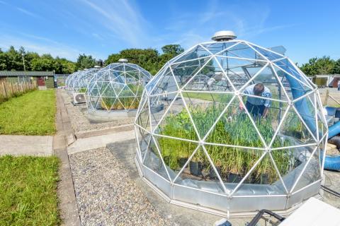 One of the solardomes at Abergwyngregyn where the Centre for Ecology &amp; Hydrology is carrying out crop experiments 