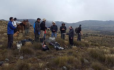 Team members discuss plot locations in the páramo of Pan de Azúcar Group of people standing in a paramo
