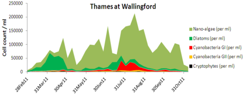 Microbiology monitoring on the Thames