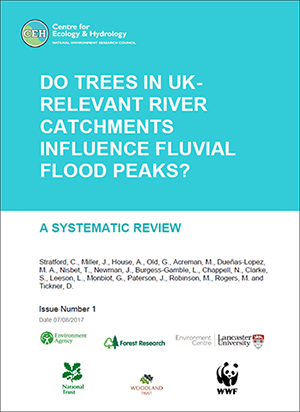 Cover of trees and river catchment flooding report Cover of trees and river catchment flooding report