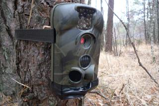 Wildlife trap camera deployed in the Chernobyl exclusion zone Wildlife trap camera deployed in the Chernobyl exclusion zone