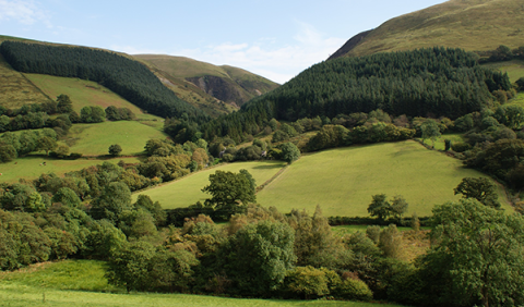 Farmland in Wales Farmland in Wales