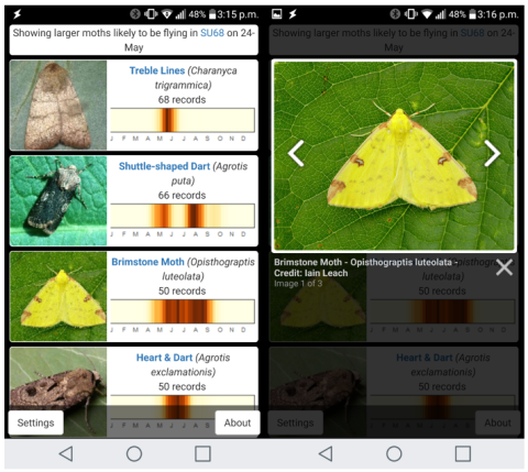 What's Flying Tonight moth app screengrab