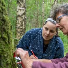 Maude Grenier and Netty van Dijk, Glencorse Woodland Experiment Platform, Edinburgh