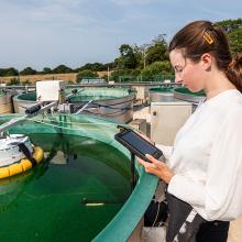 Theresa Vökl working at the UKCEH Aquatic Mesocosm Facility in Lancaster