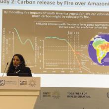 Dr Semeena Shamsudheen, a land-atmosphere scientist at UKCEH, presented work on wildfires at a side event of COP27 in Sharm El Sheikh, Egypt.