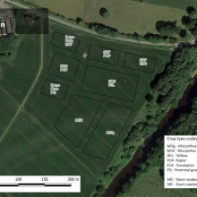 Ayr Hub site plot locations map