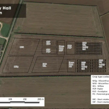 Headley Hall hub site plot locations map