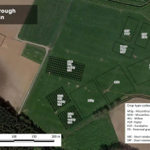 Hillsborough, NI hub site plot locations map