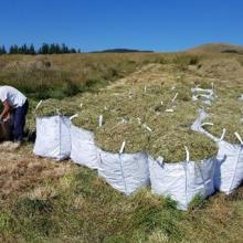 Big bags of cut grasses