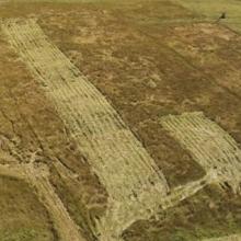 Overhead of mown area