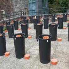 Rows of dustbins used for soil experiments