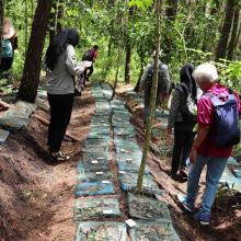 UB Forest Student litter bag experiment to study decomposition
