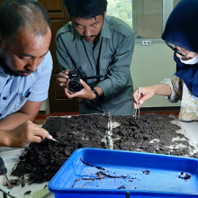 UB Forest counting worms