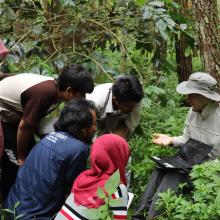 UB Forest Training on how to download the microclimate sensors onto a field laptop