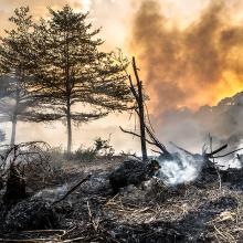 New report on global tipping points