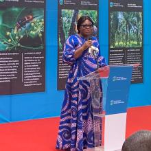 Hon Ophelia Mensah Hayford at launch of UKCEH West Africa office