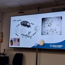 Phillipa Chadwick, West Cumbria Rivers Trust presenting