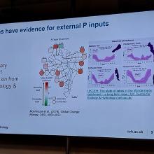 Slide from presentation about internal phosphorus loading in Windermere catchment lakes