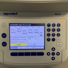 Eppendorf PCR machine