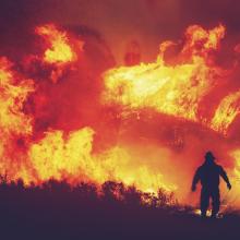 Wildfire