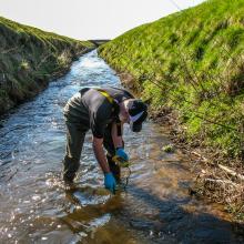 Monitoring sampling